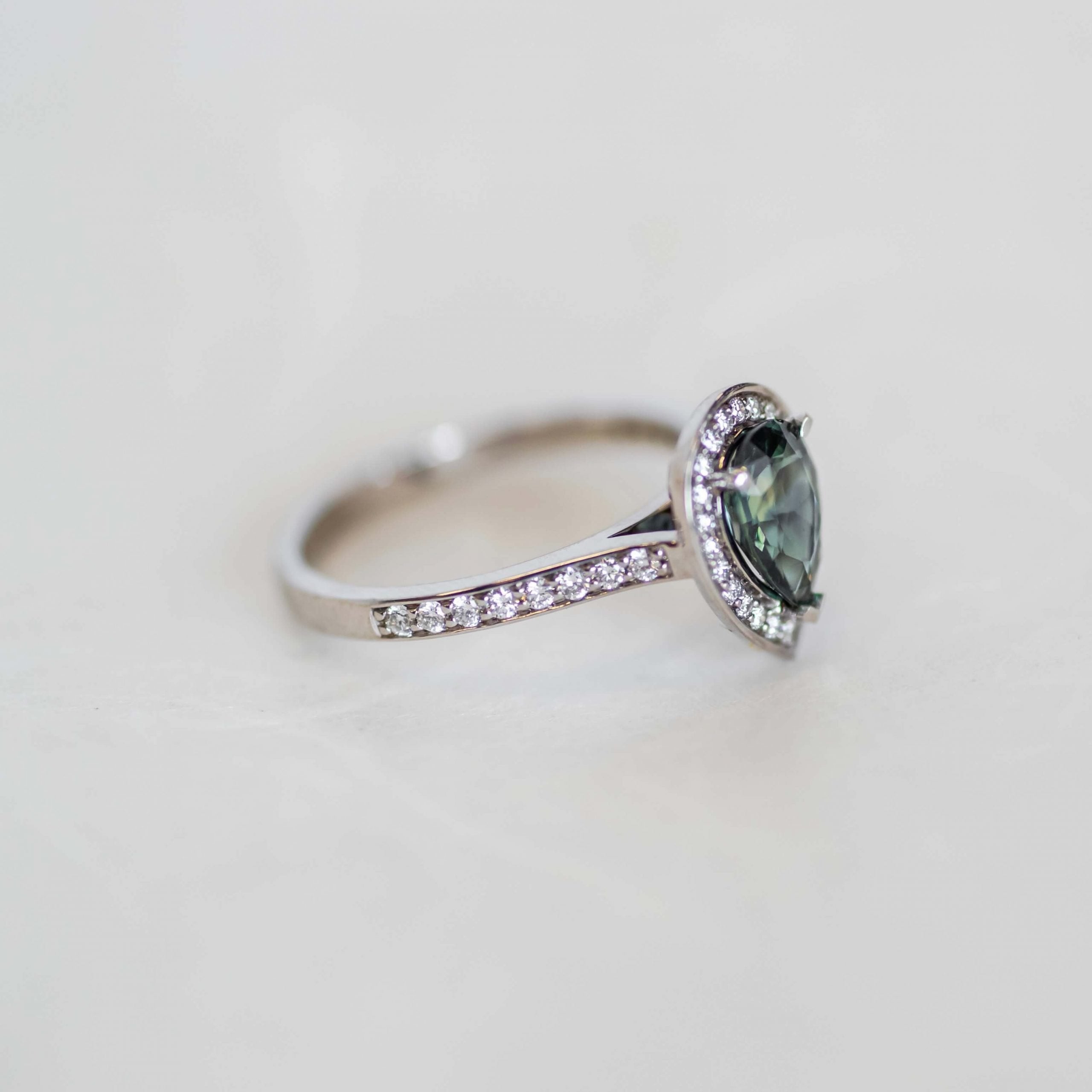 Fagus_RGB_300dpi-32-1